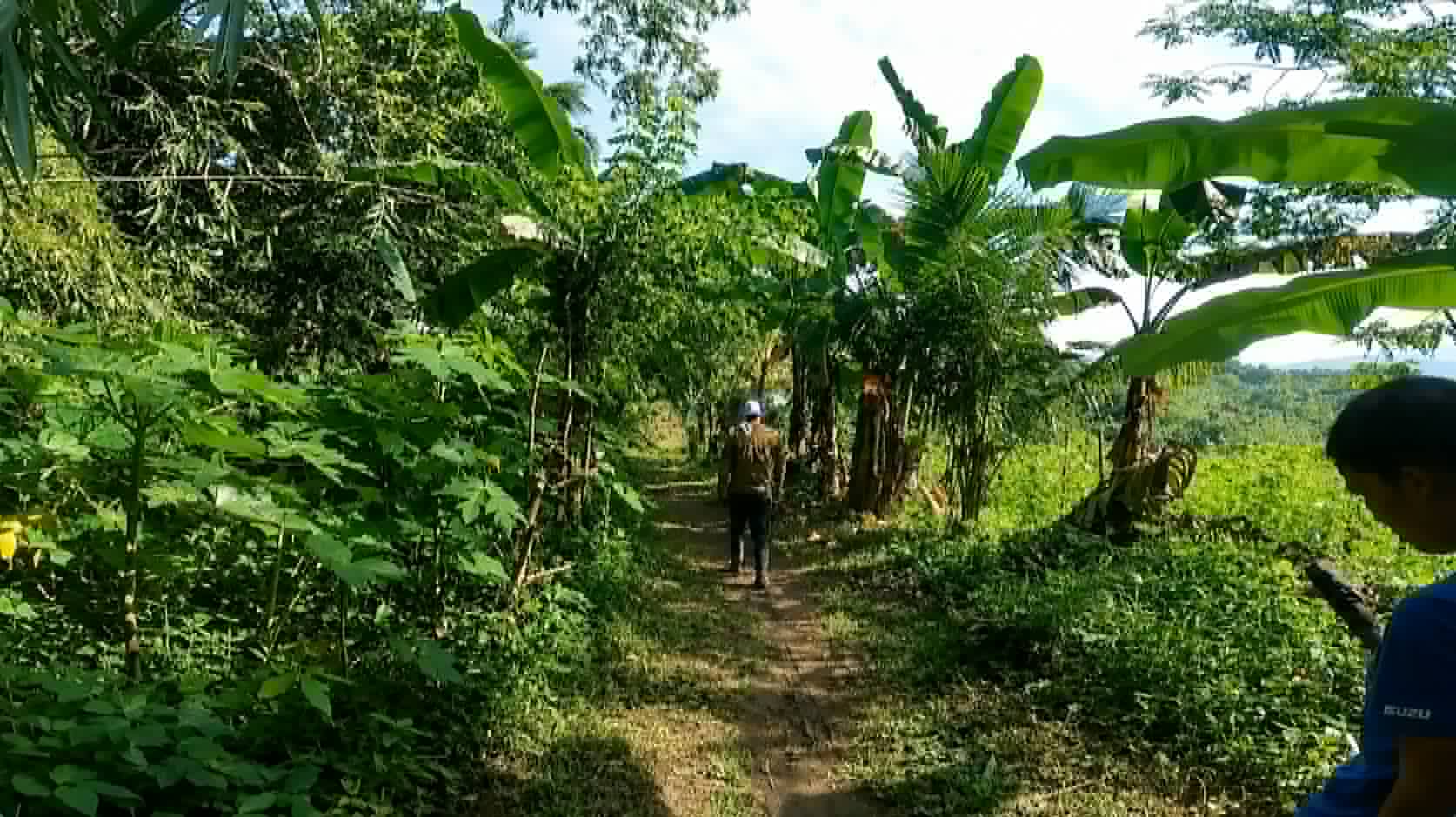 Barangay road due for paving